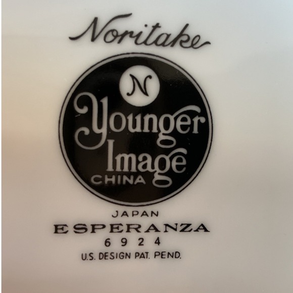 Noritake Esperanza 6924 Vintage China Set of 46 Modern Black & White (Japan) - Picture 9 of 11